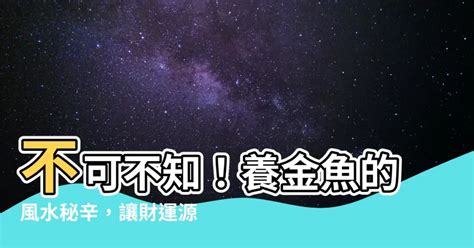 養金魚風水|【金魚風水】金魚風水：在家養金魚招財旺財的究極指南！